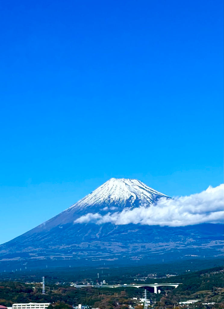 寄り道モリカゲシャツ